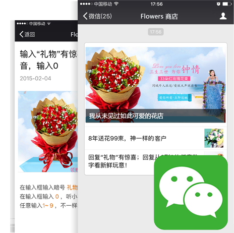 �r���ИI΢���̳ǾWվ����չʾ